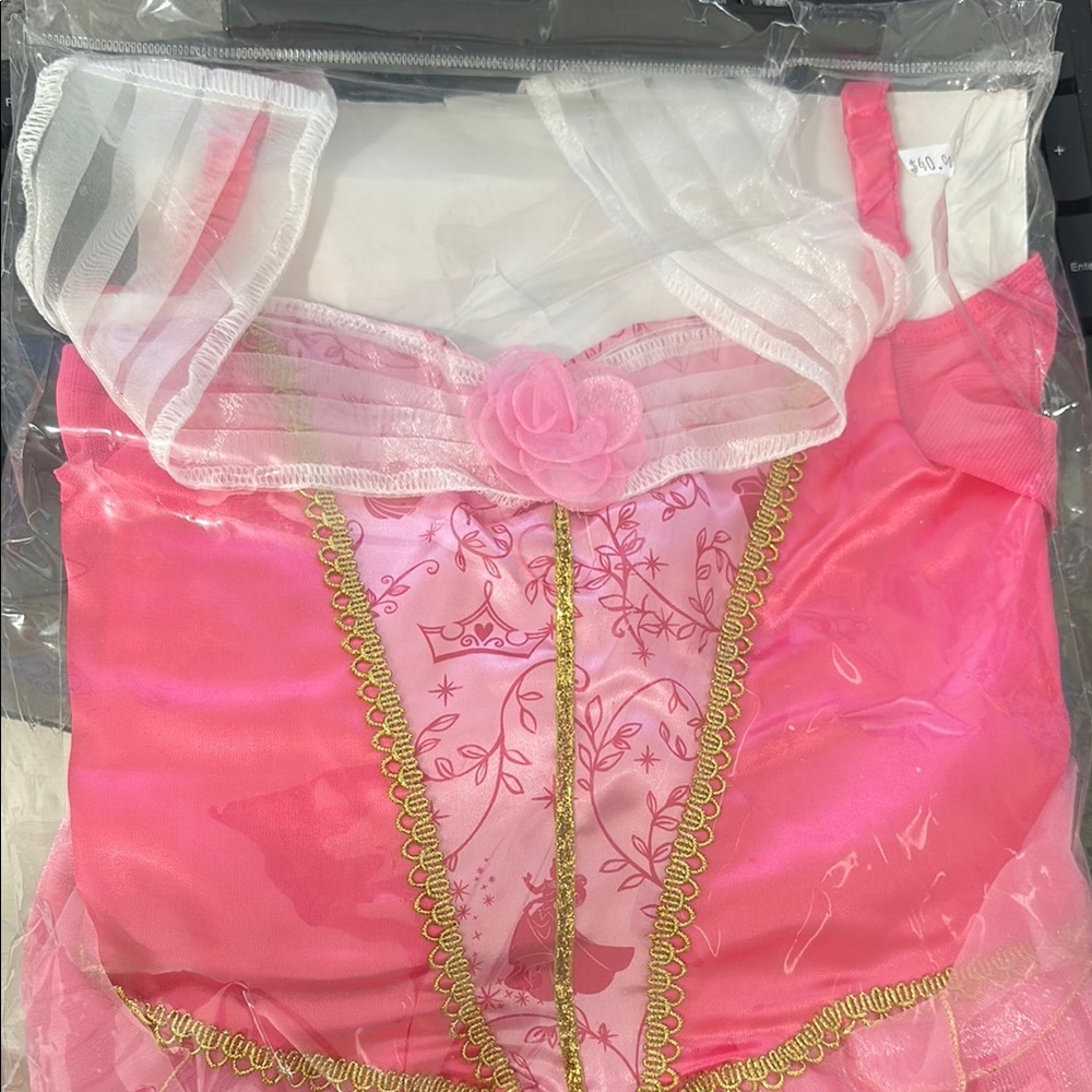 Disney Aurora Costume